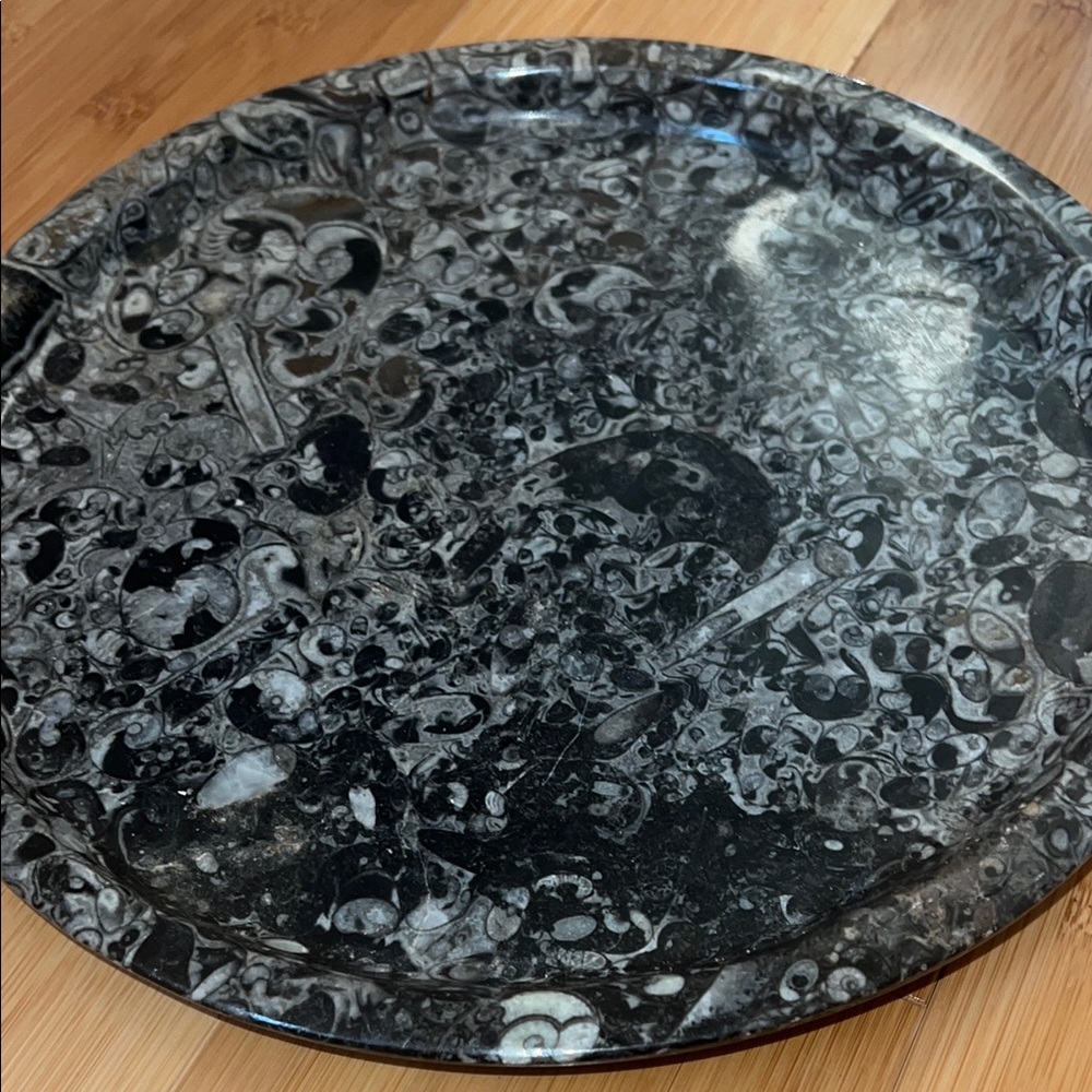 AMMONITE PLATE - Picture 2 of 10